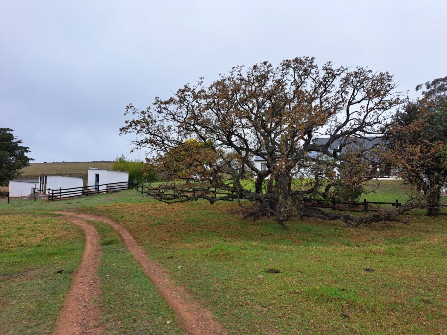 17 Bedroom Property for Sale in Riversdale Rural Western Cape